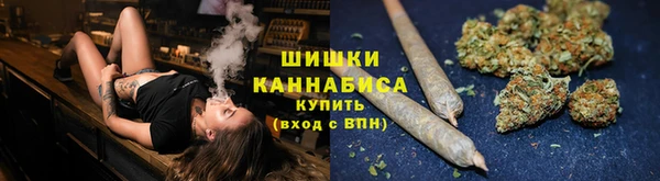 стафф Ладушкин