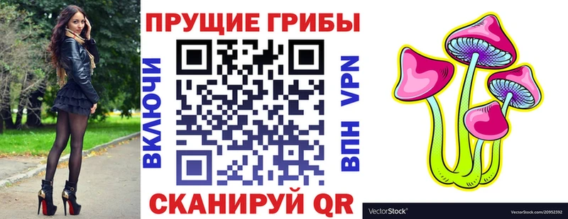 Галлюциногенные грибы мицелий  Купить где  Кыштым 